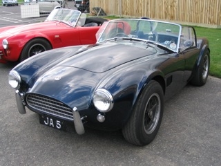 cobra001